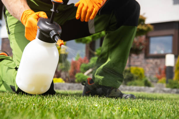 Pest Control Cost in Moody, TX