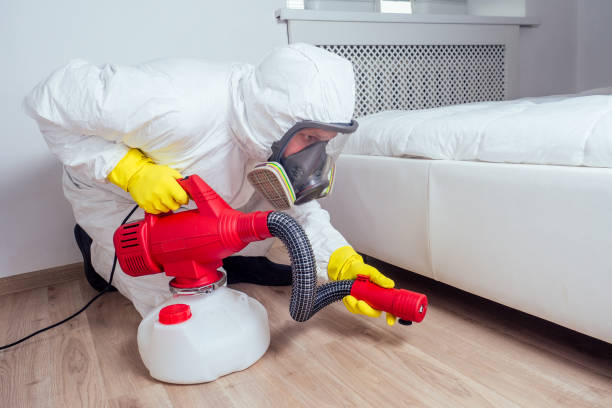Insect Control in Moody, TX