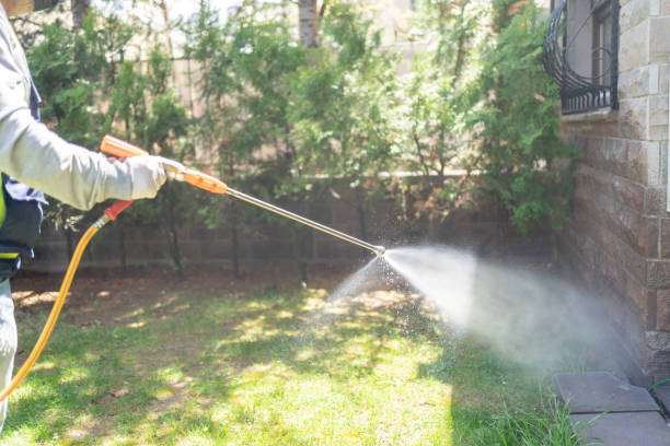 Best Pest Removal Services  in Moody, TX