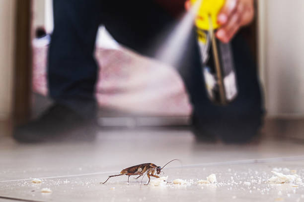 Best Best Pest Control Companies  in Moody, TX